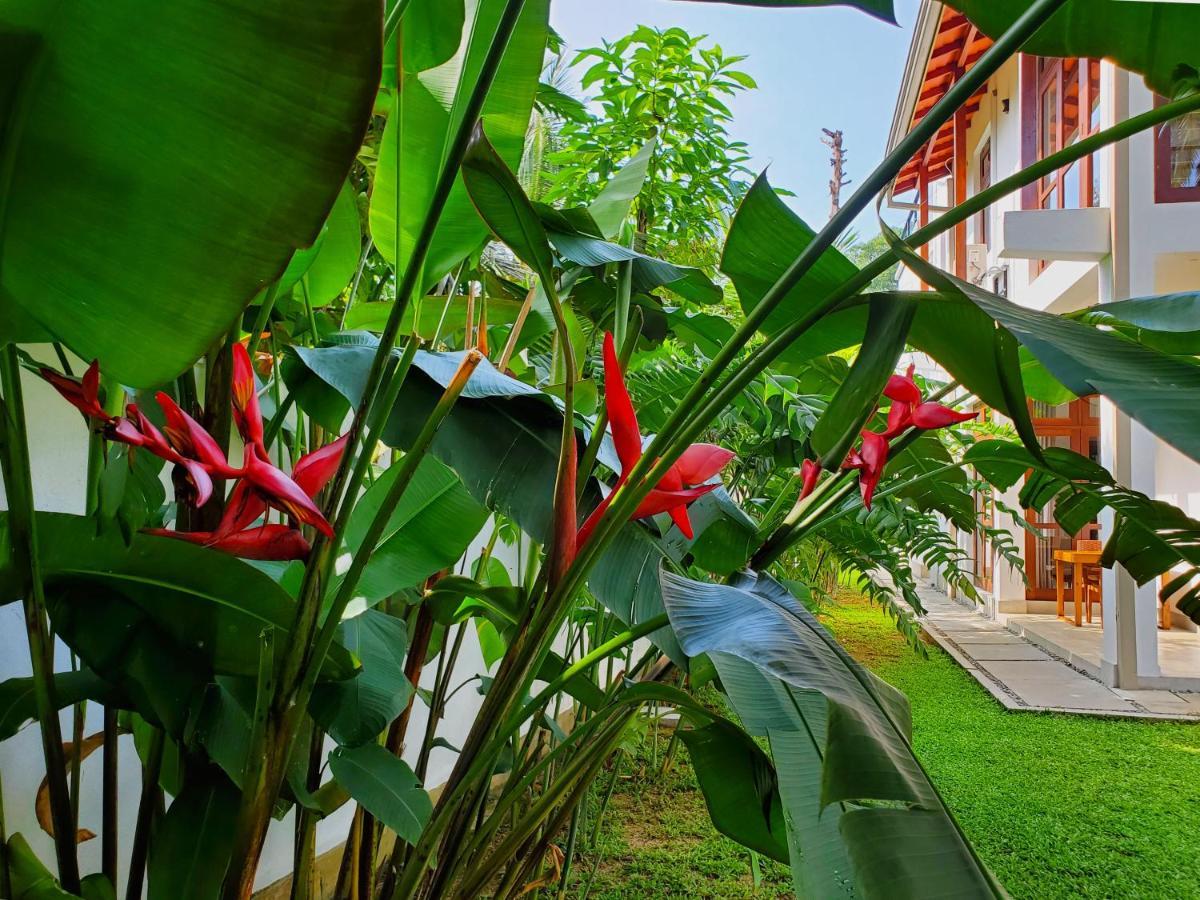 Villa Ema Гале Екстериор снимка